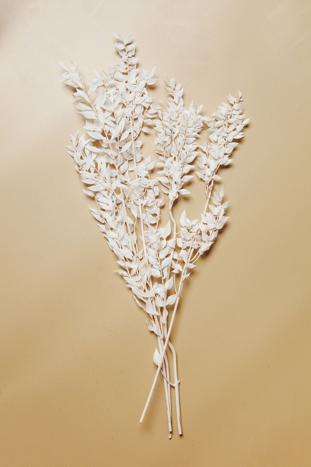 Bunches Bleached White Ruscus send a bouquet- the best flower delivery