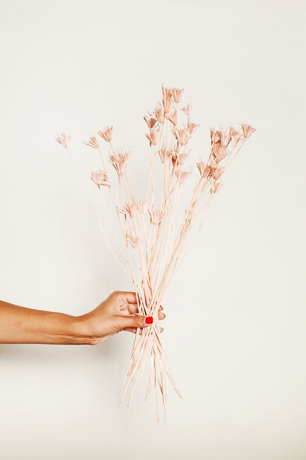 Idlewild Floral Co. Blush Nigella