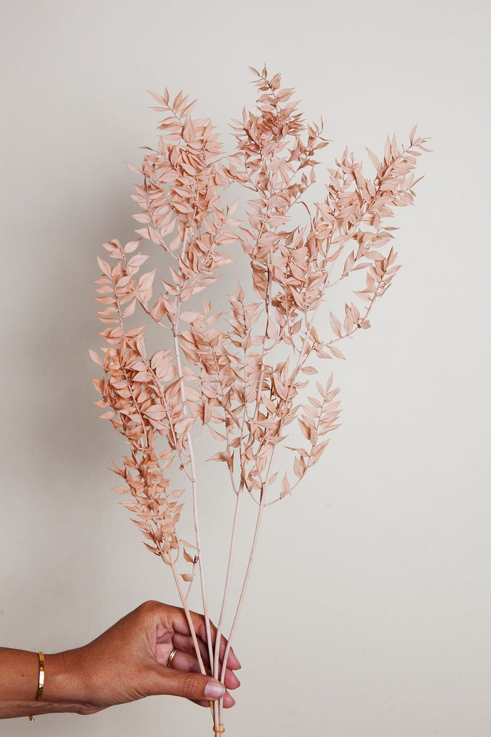 Bunches Blush Ruscus send a bouquet- the best flower delivery