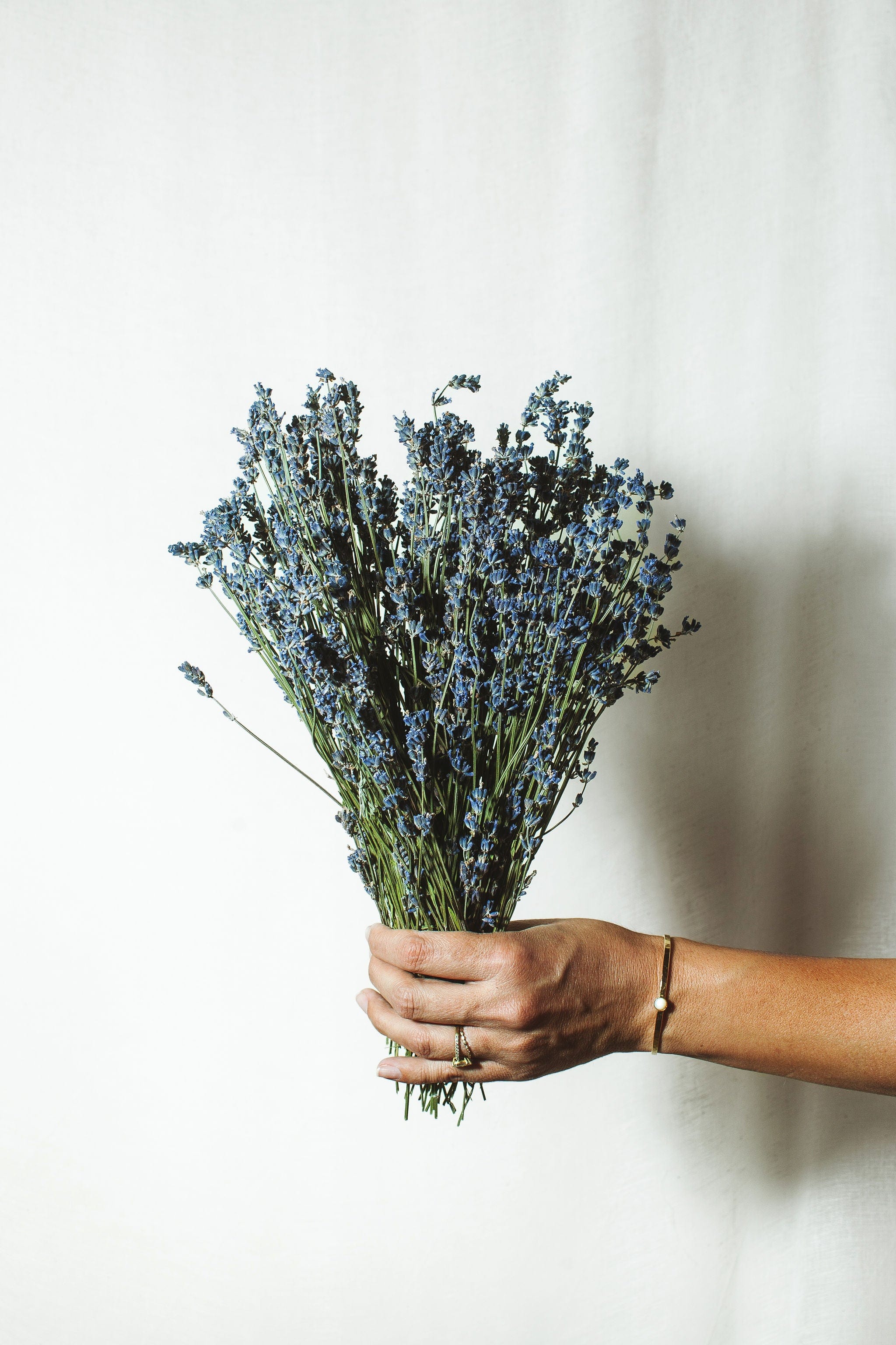 Dried Flowers for Vase Dried Plants Lavender Daisies Wild Meadow