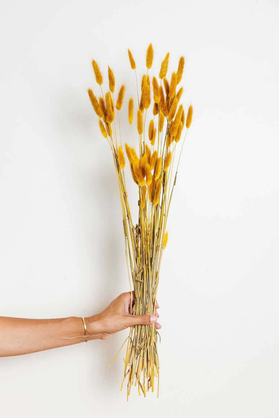 Bunches Dried Mustard Bunny Tail send a bouquet- the best flower delivery