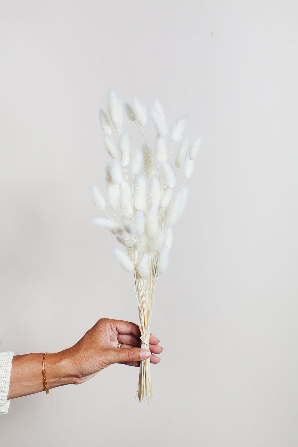 Dried White Bunny Tail