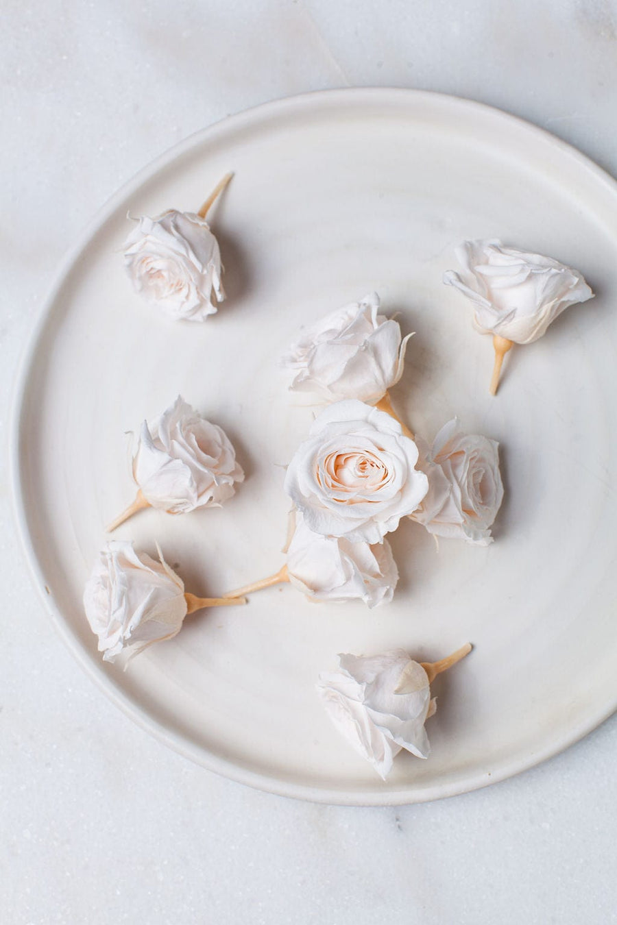 Bunches Preserved Mini Pale Blush Roses send a bouquet- the best flower delivery