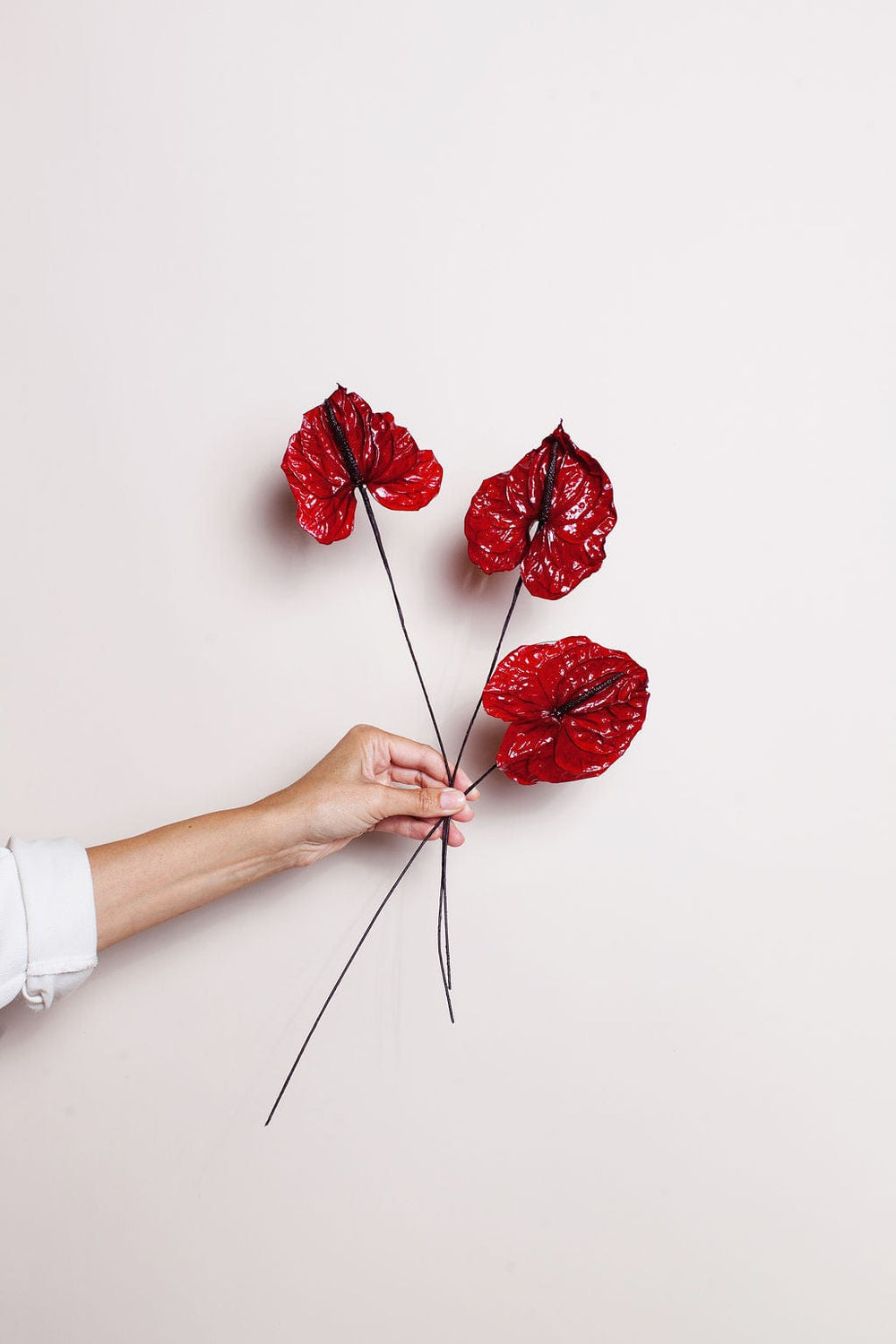 Idlewild Floral Co. Red Anthurium