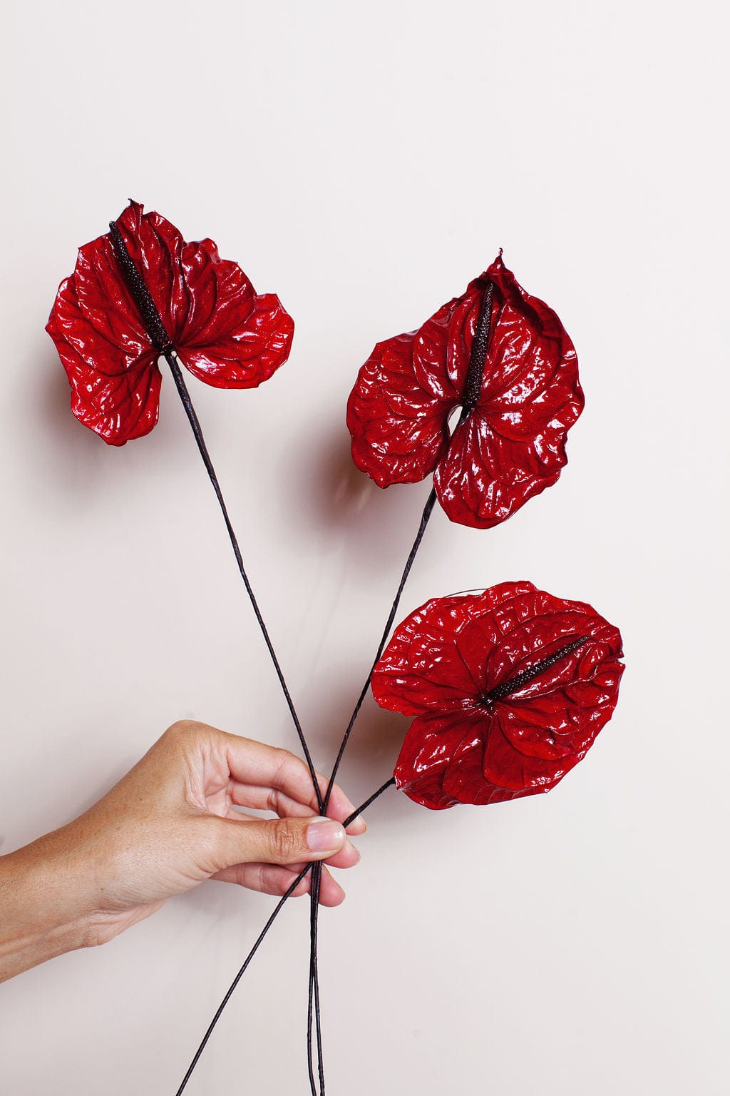 Preserved Red Anthurium Flower | Bulk Dried Flowers