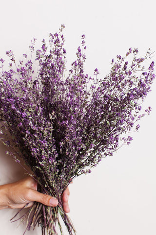 Idlewild Floral Co. Bunches Santa Cruz Oregano