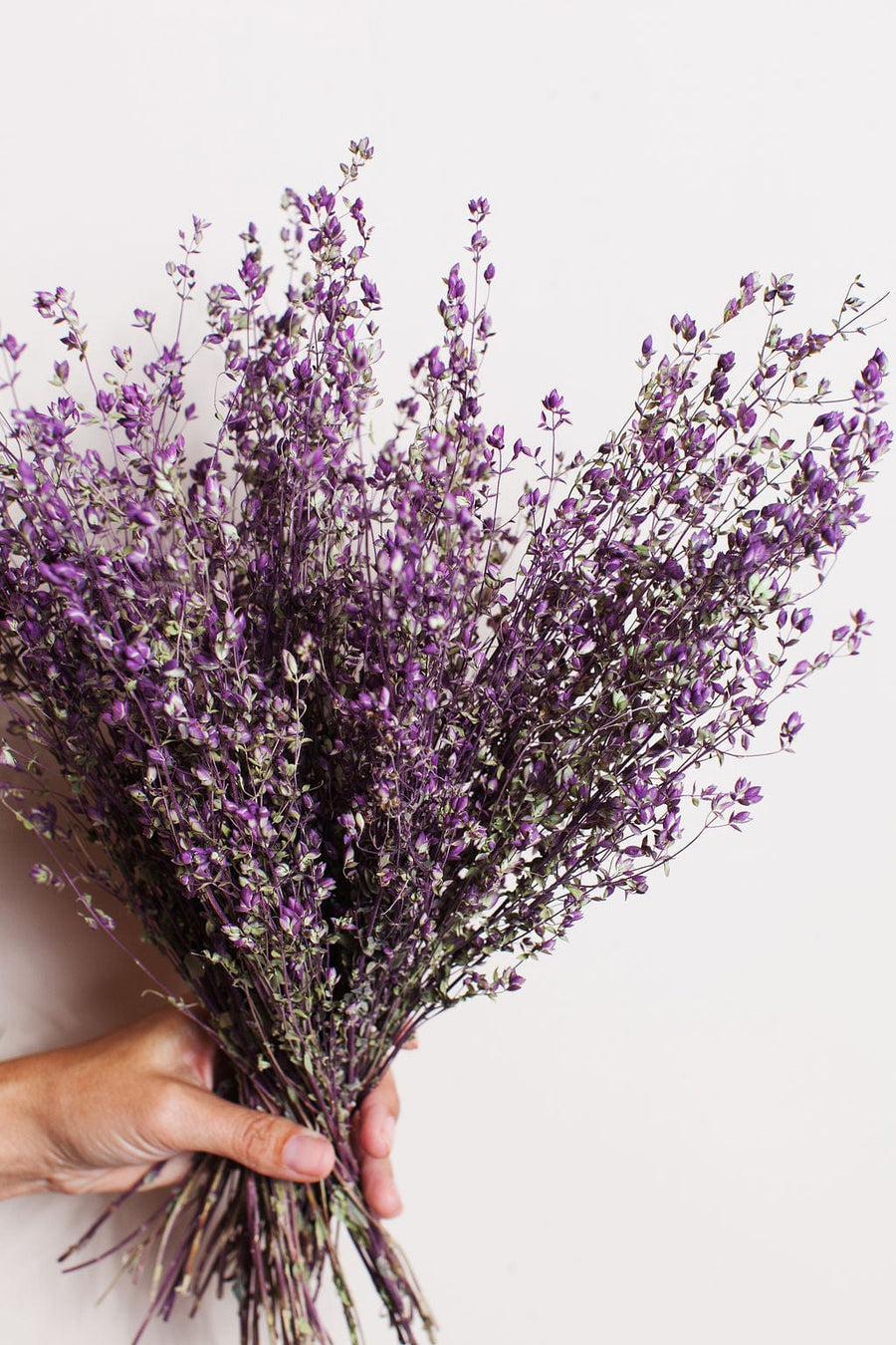 Idlewild Floral Co. Bunches Santa Cruz Oregano