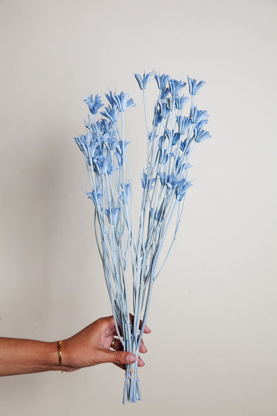 Bunches Sky Blue Dried Nigella send a bouquet- the best flower delivery