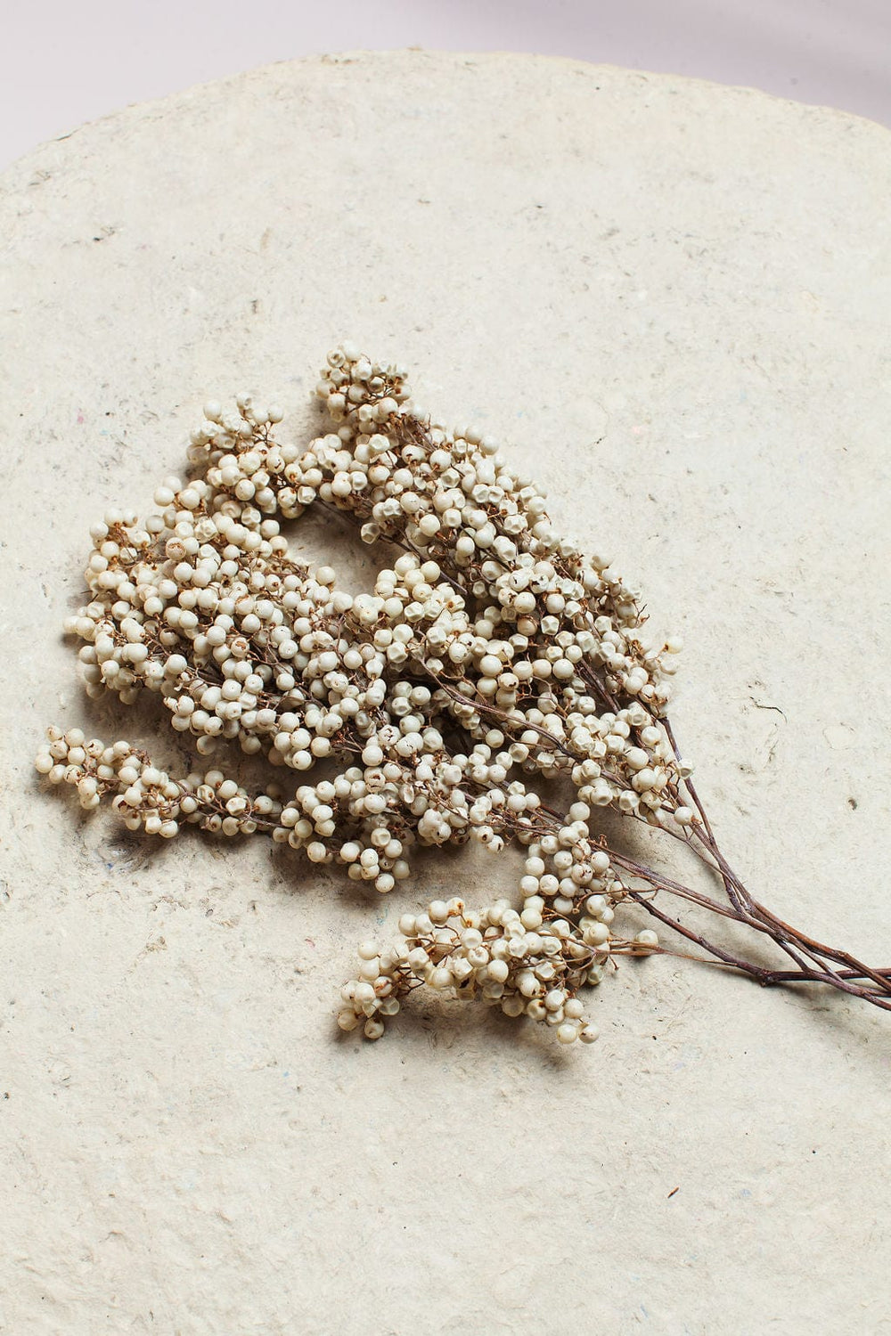 Idlewild Floral Co. Bunches White Preserved Pepperberry