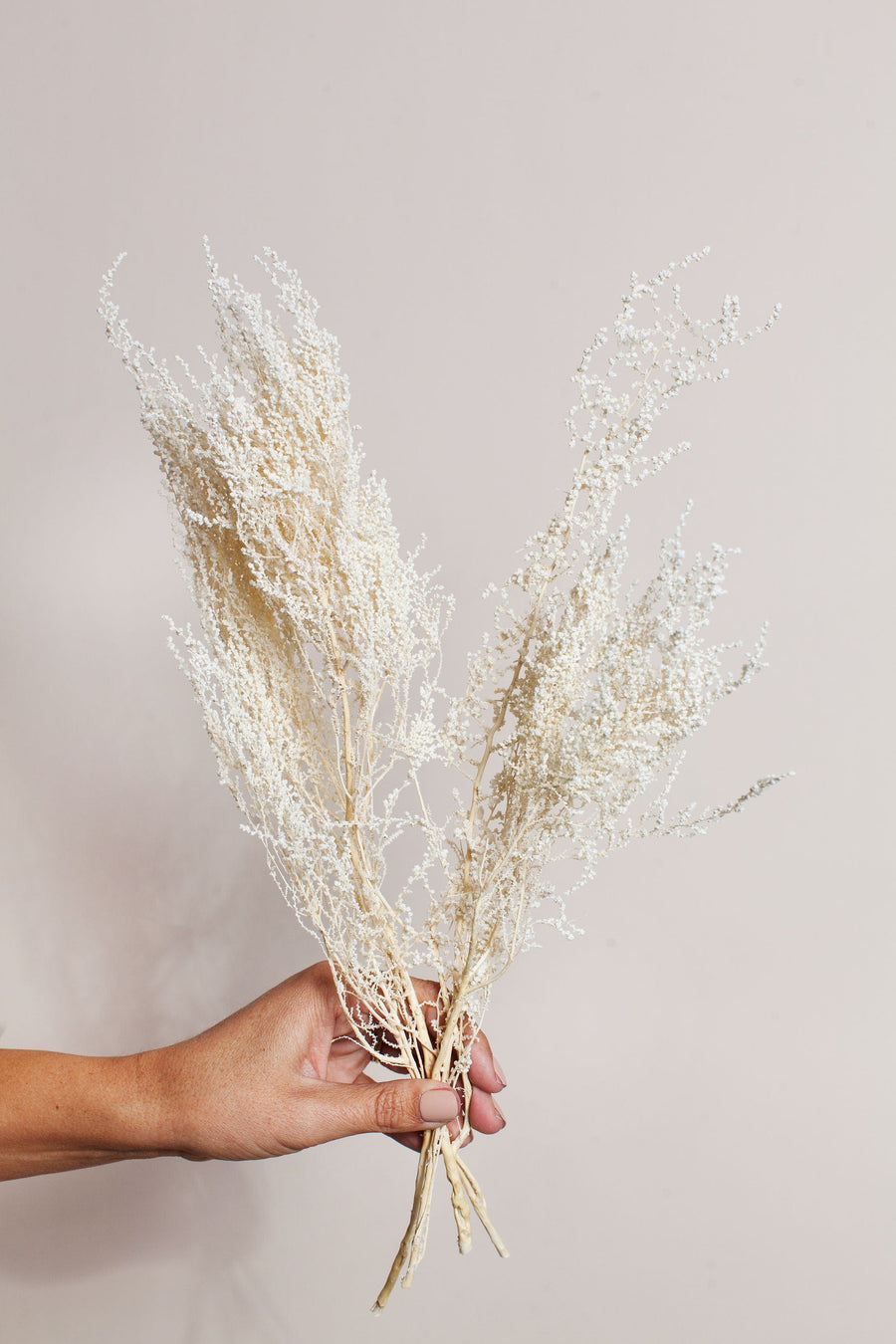 Bunches White Stoebe send a bouquet- the best flower delivery