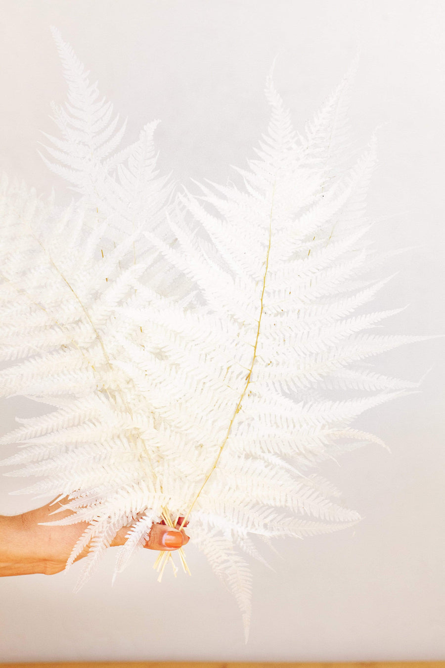 Idlewild Floral Co. Bleached White Fern