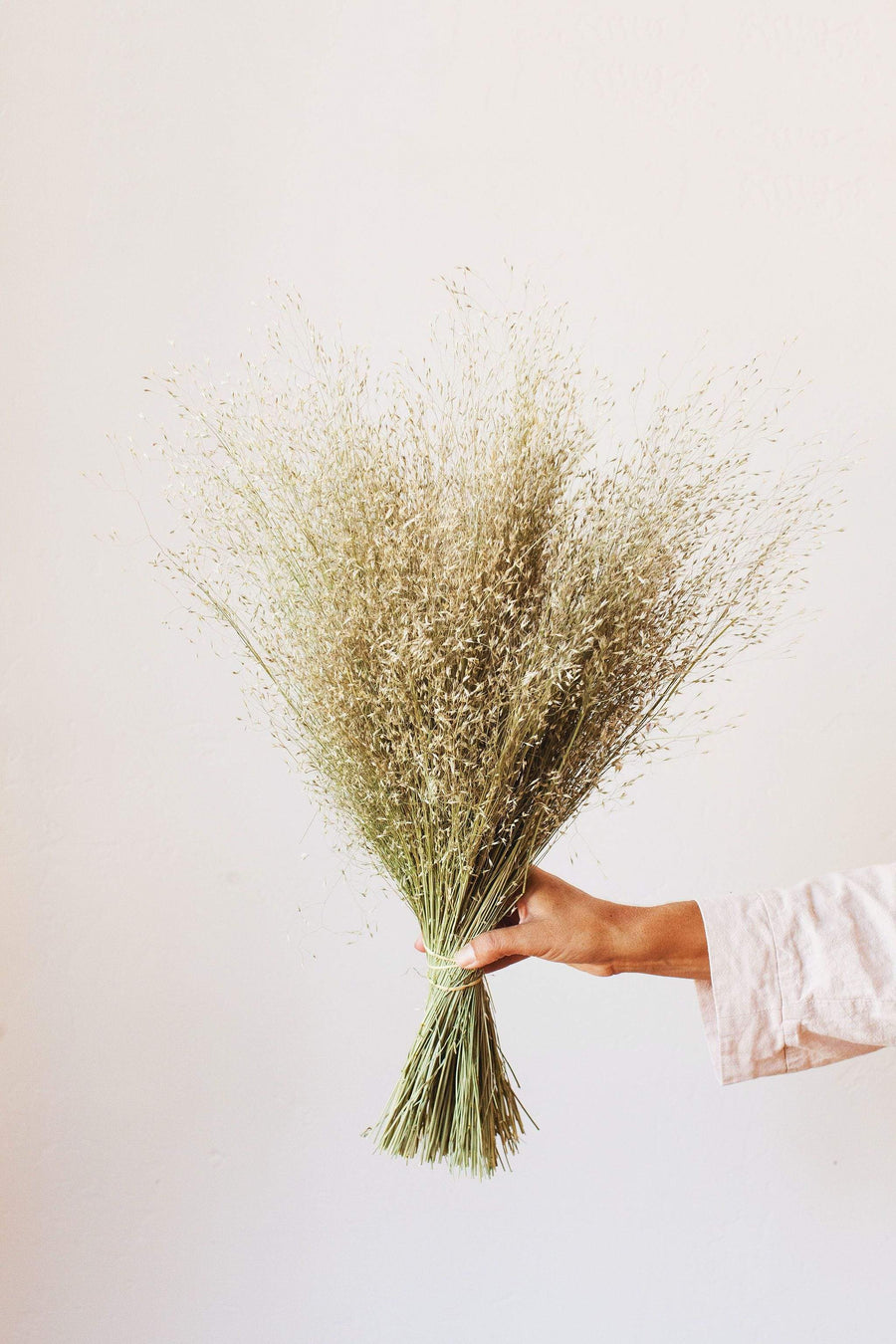 Idlewild Floral Co. Indian Rice Grass