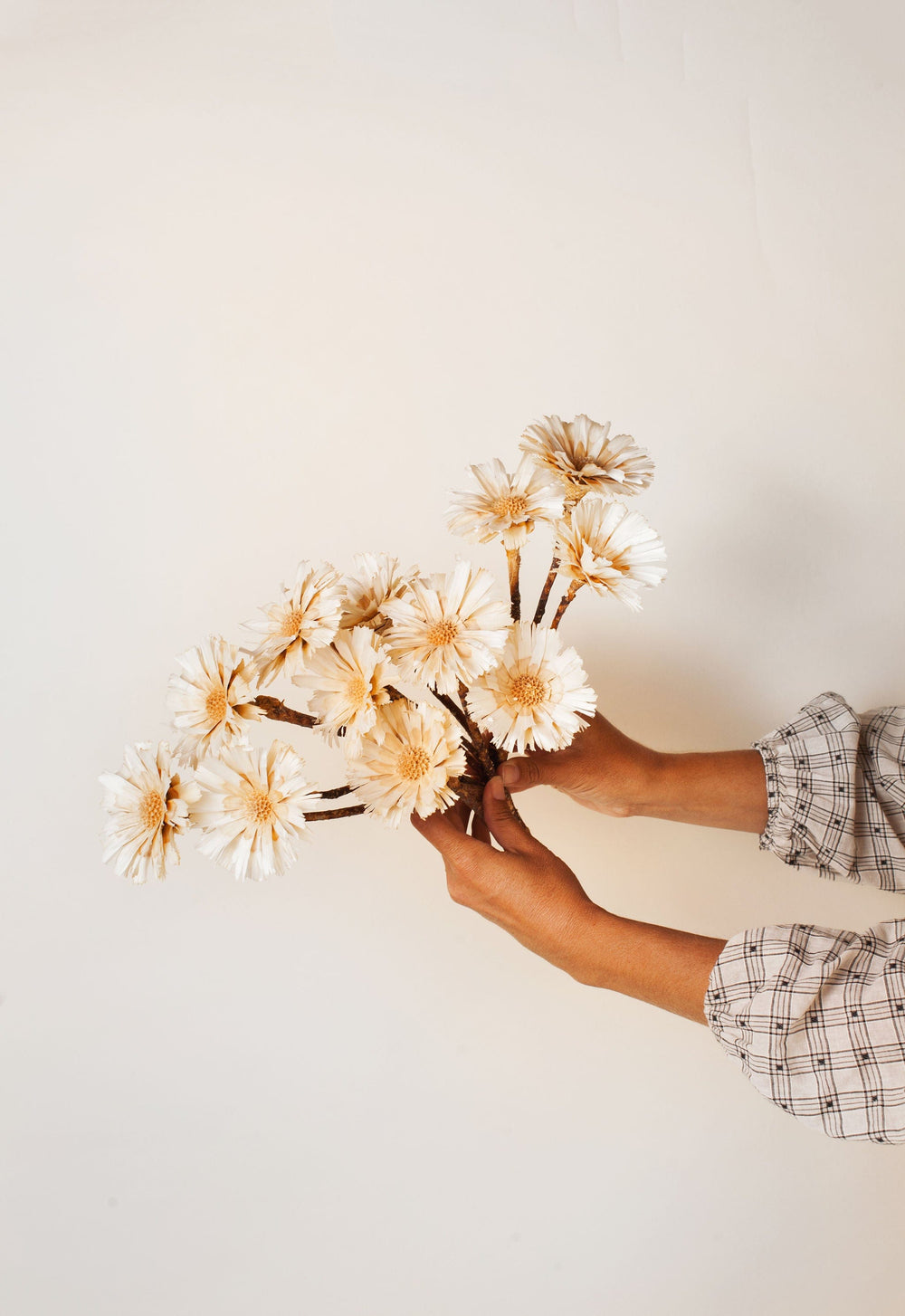 Idlewild Floral Co. Large dried protea rosette