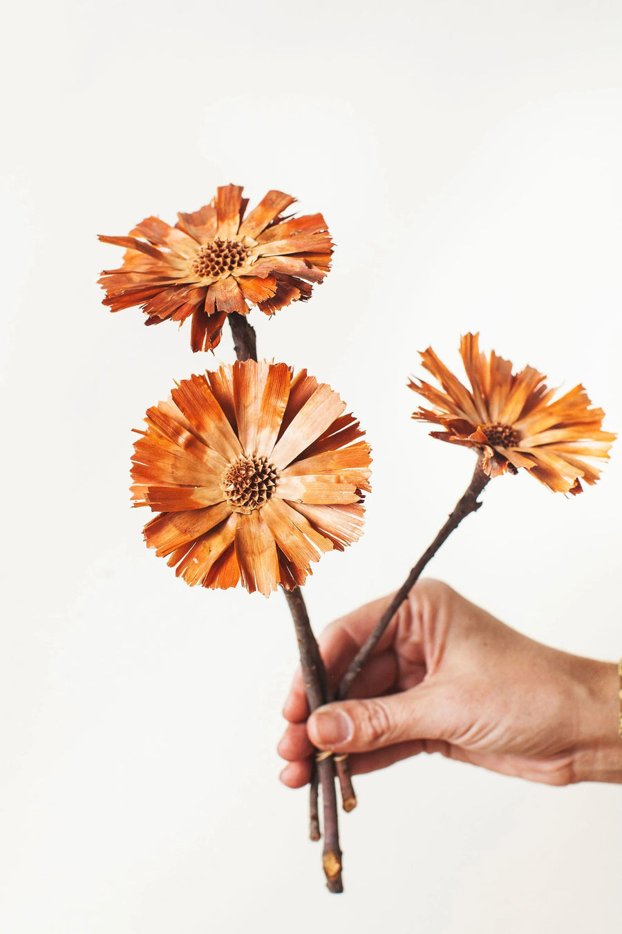 Idlewild Floral Co. Natural Protea Rosettes