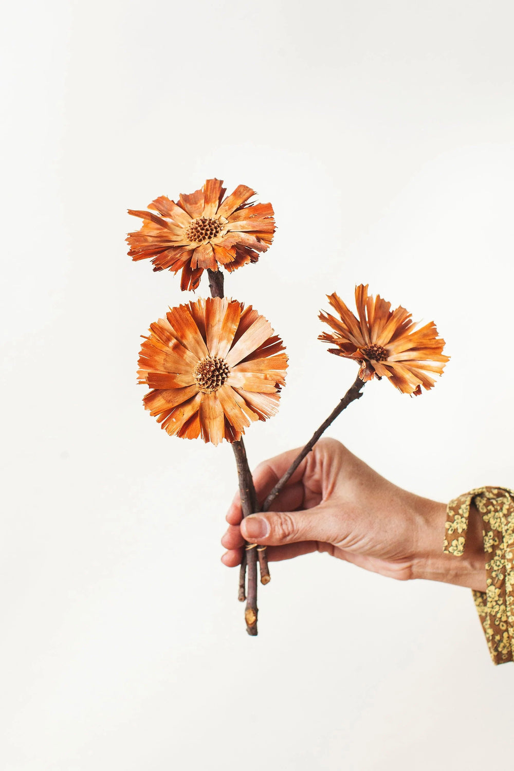 Idlewild Floral Co. Natural Protea Rosettes