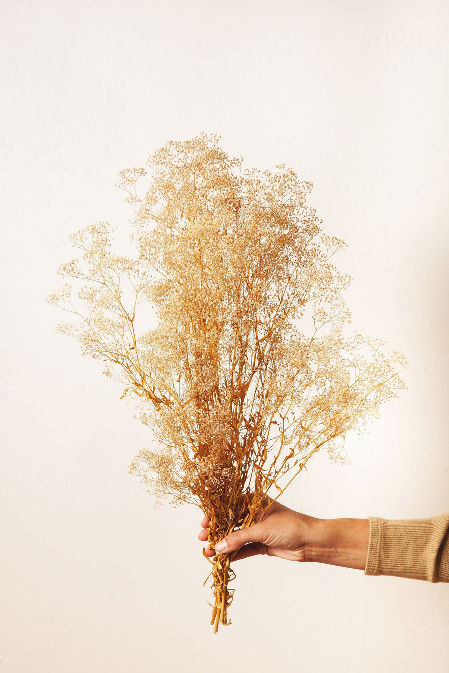 Idlewild Floral Co. Tan Baby's Breath