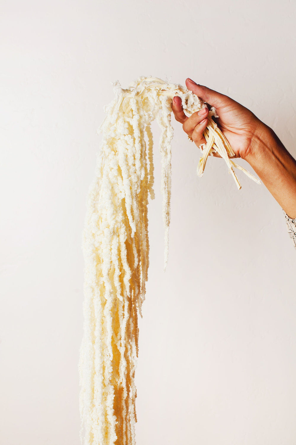 Idlewild Floral Co. White Hanging Amaranthus
