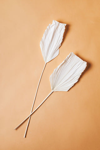 Idlewild Floral Co. White Spade Anahaw Leaf