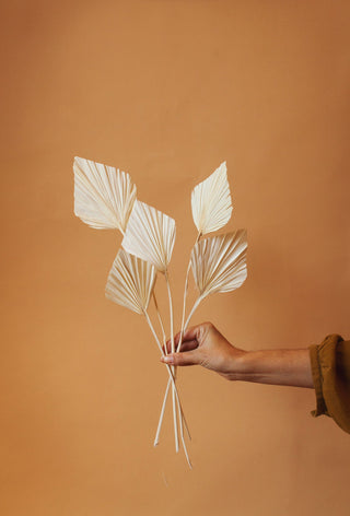 Idlewild Floral Co. White Spade Palm