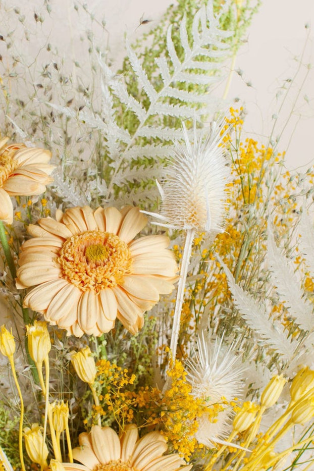 Luxe Preserved Bouquets