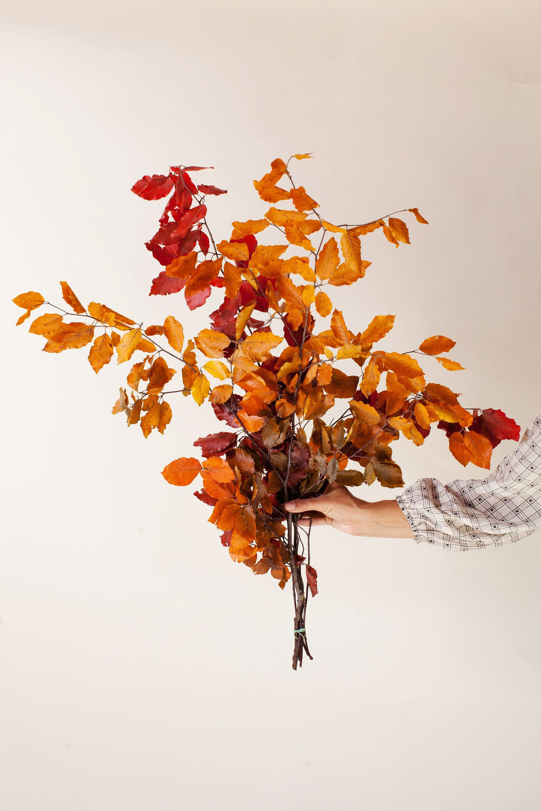 Preserved Fall Flowers and Decor