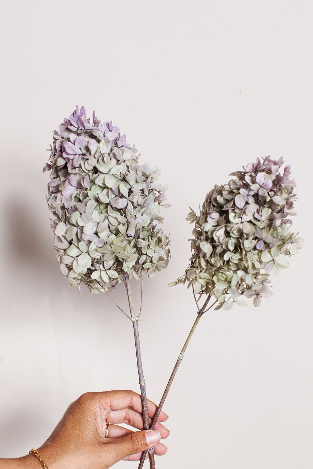 Purple Mauve Dried Flowers