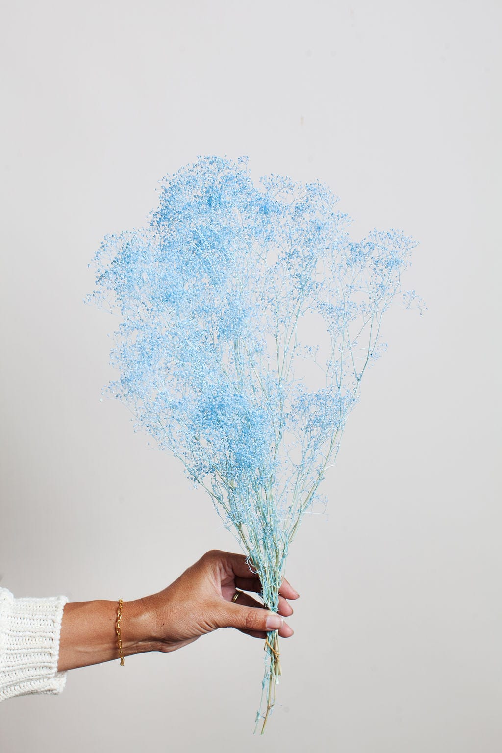 Idlewild Floral Co. Bunches Baby Blue Baby's Breath