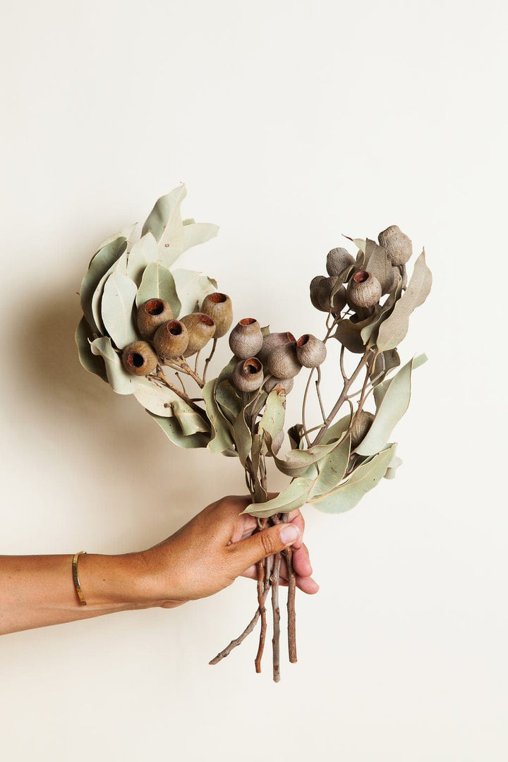 Bunches Bellgum Eucalyptus send a bouquet- the best flower delivery