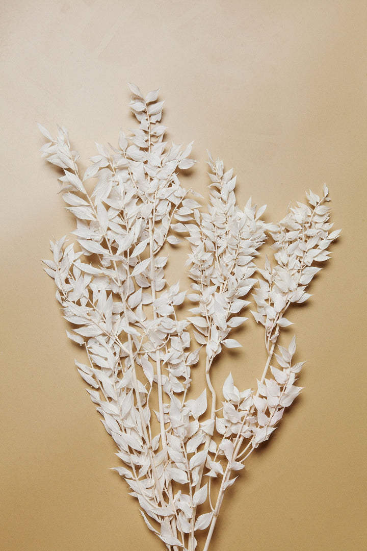 Bunches Bleached White Ruscus send a bouquet- the best flower delivery