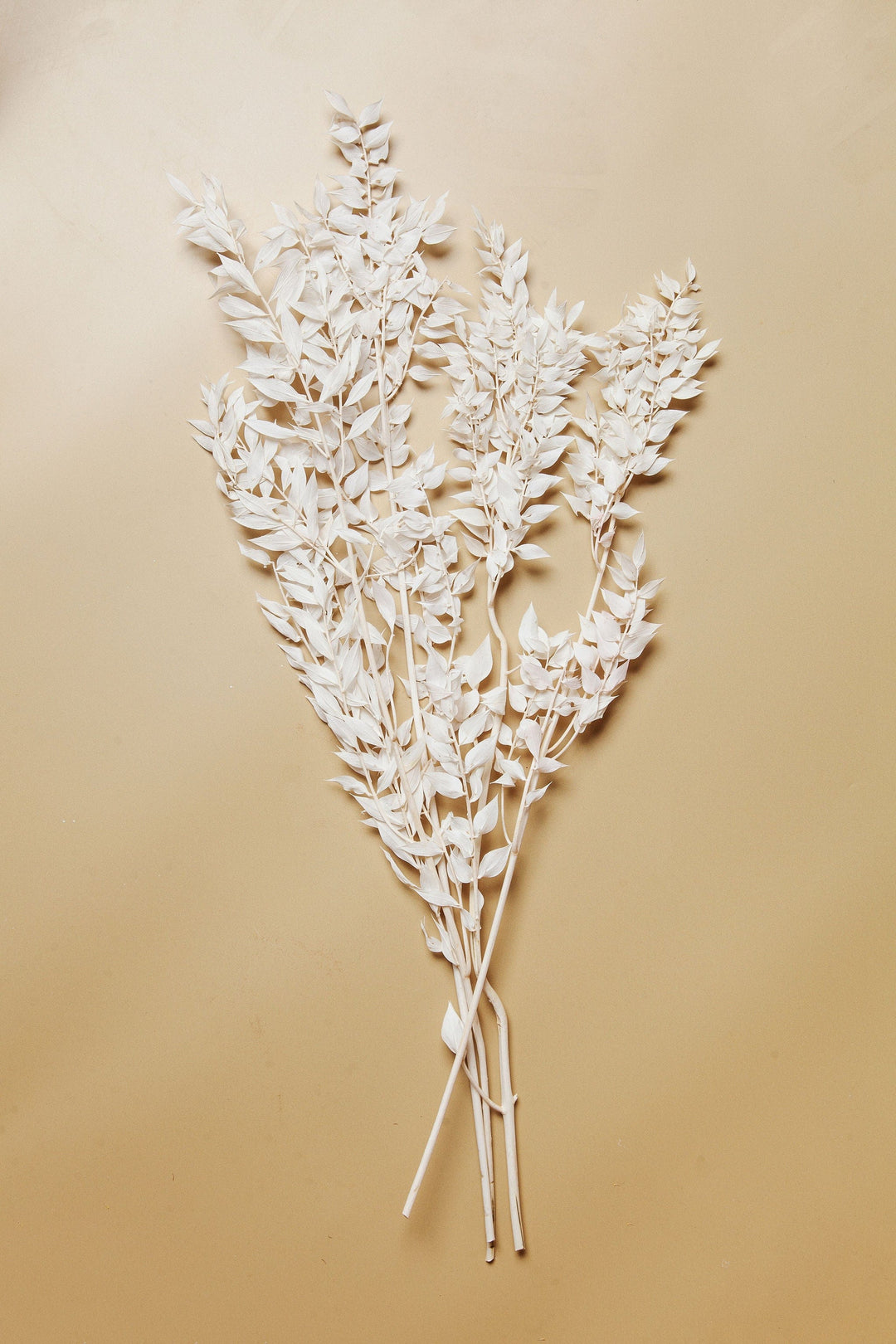 Bunches Bleached White Ruscus send a bouquet- the best flower delivery