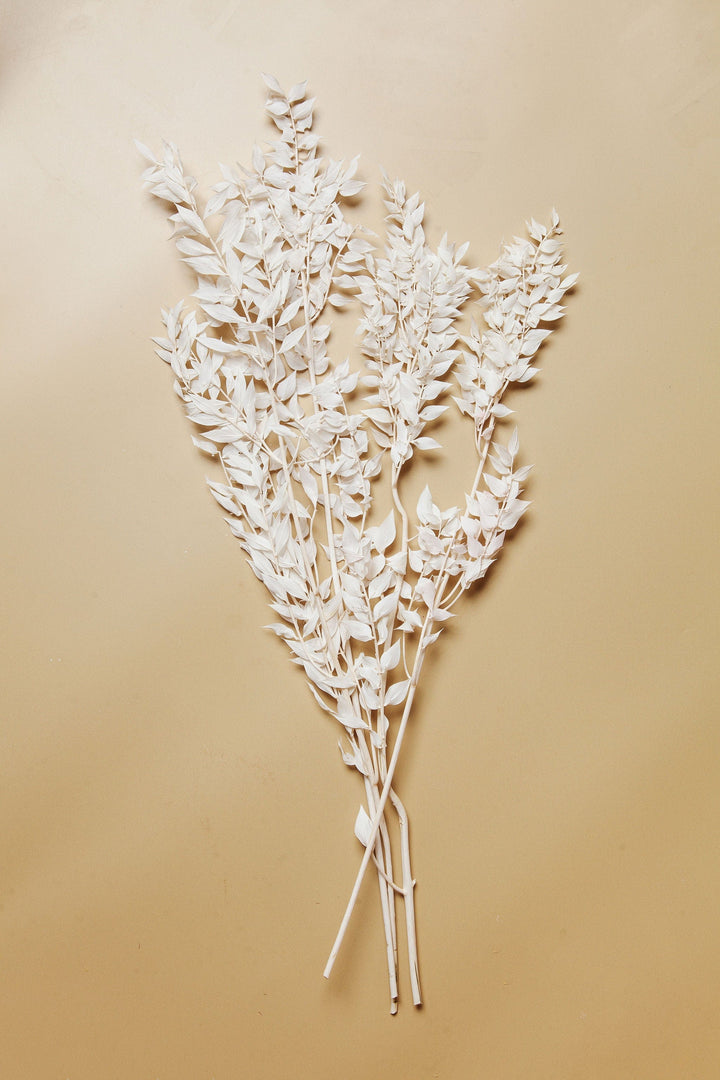 Bunches Bleached White Ruscus send a bouquet- the best flower delivery