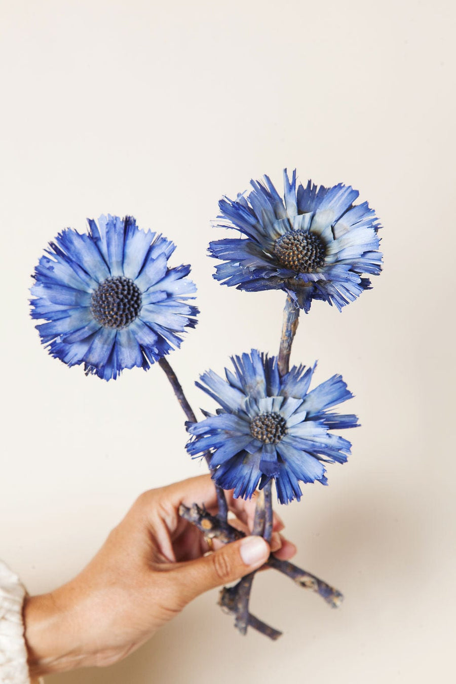 Bunches Blue Protea Rosettes send a bouquet- the best flower delivery