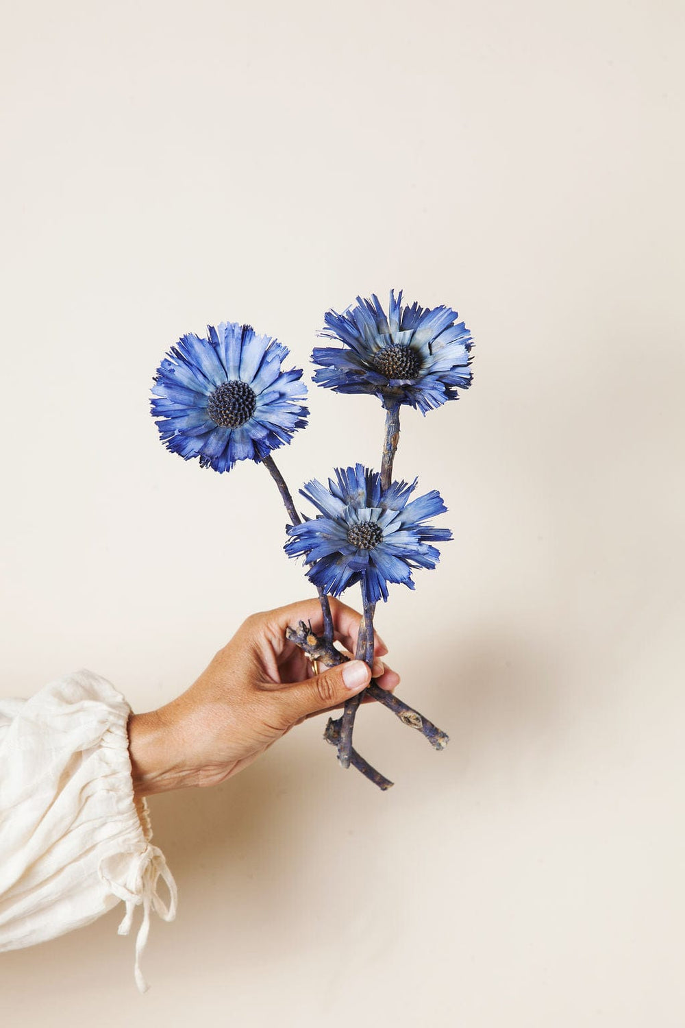 Bunches Blue Protea Rosettes send a bouquet- the best flower delivery