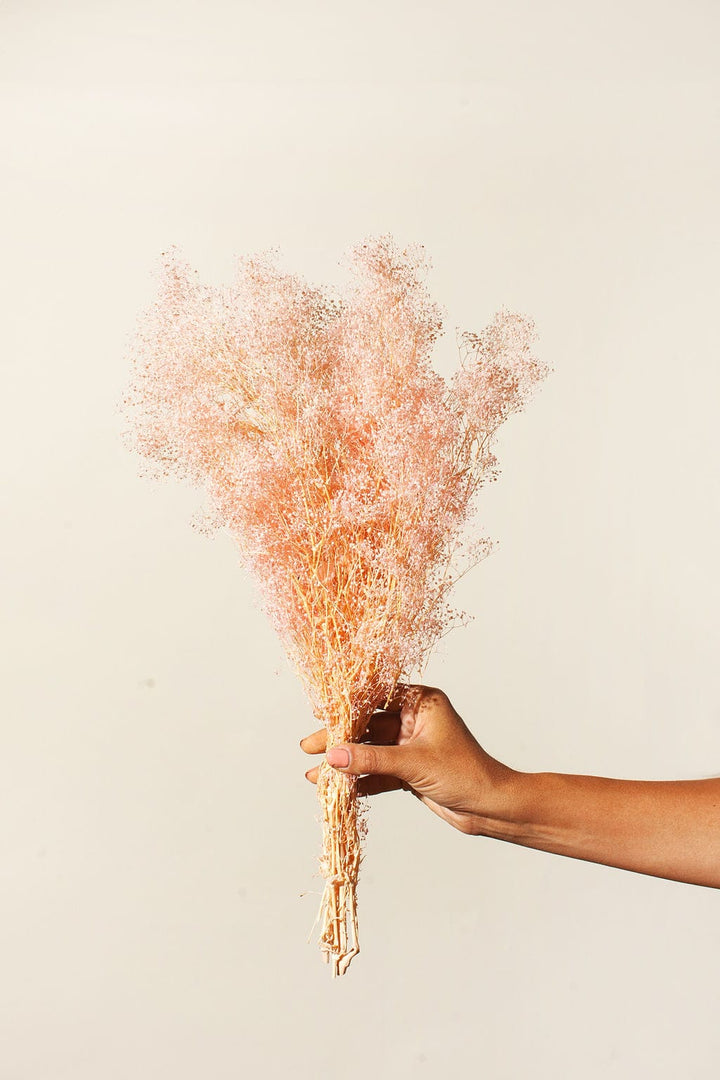 Idlewild Floral Co. Bunches Blush Baby's Breath