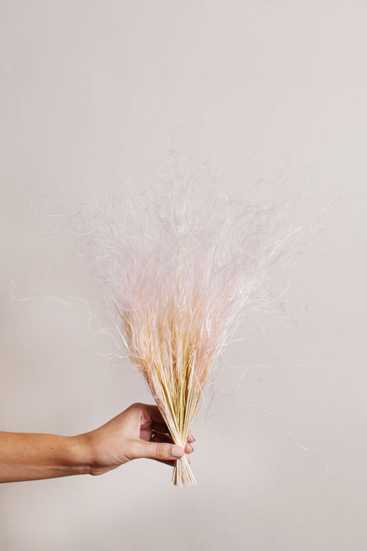 Bunches Blush Feather Grass send a bouquet- the best flower delivery