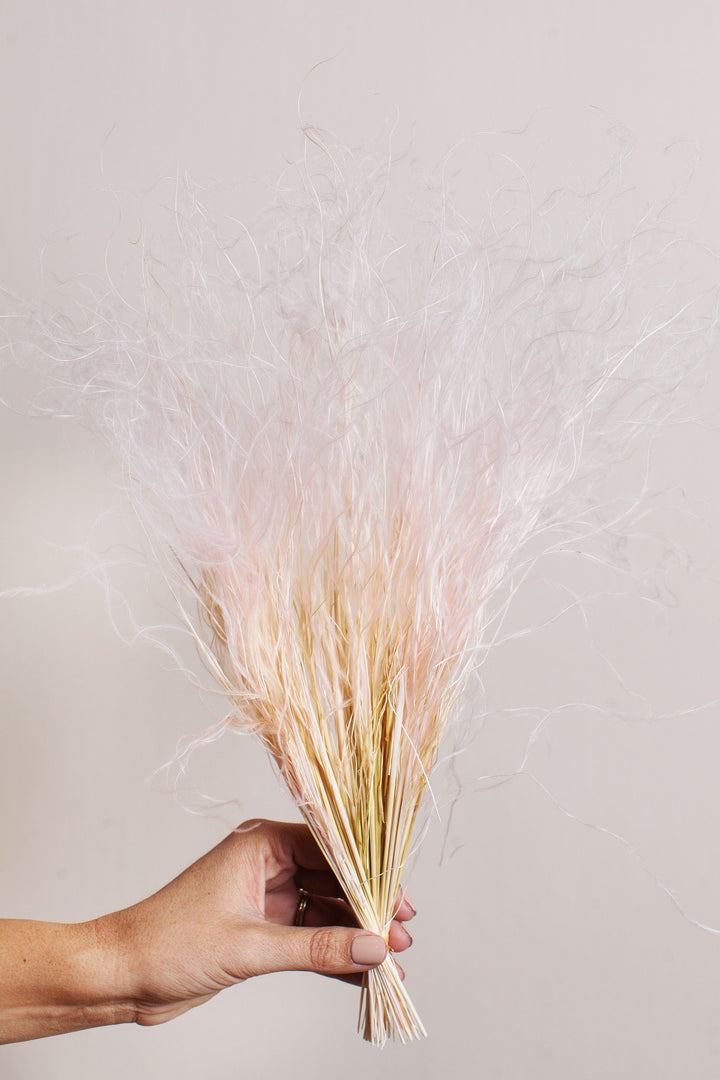 Bunches Blush Feather Grass send a bouquet- the best flower delivery