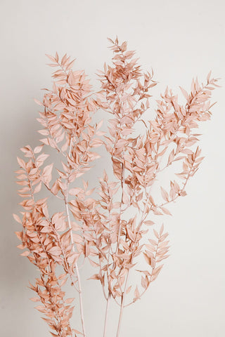 Bunches Blush Ruscus send a bouquet- the best flower delivery