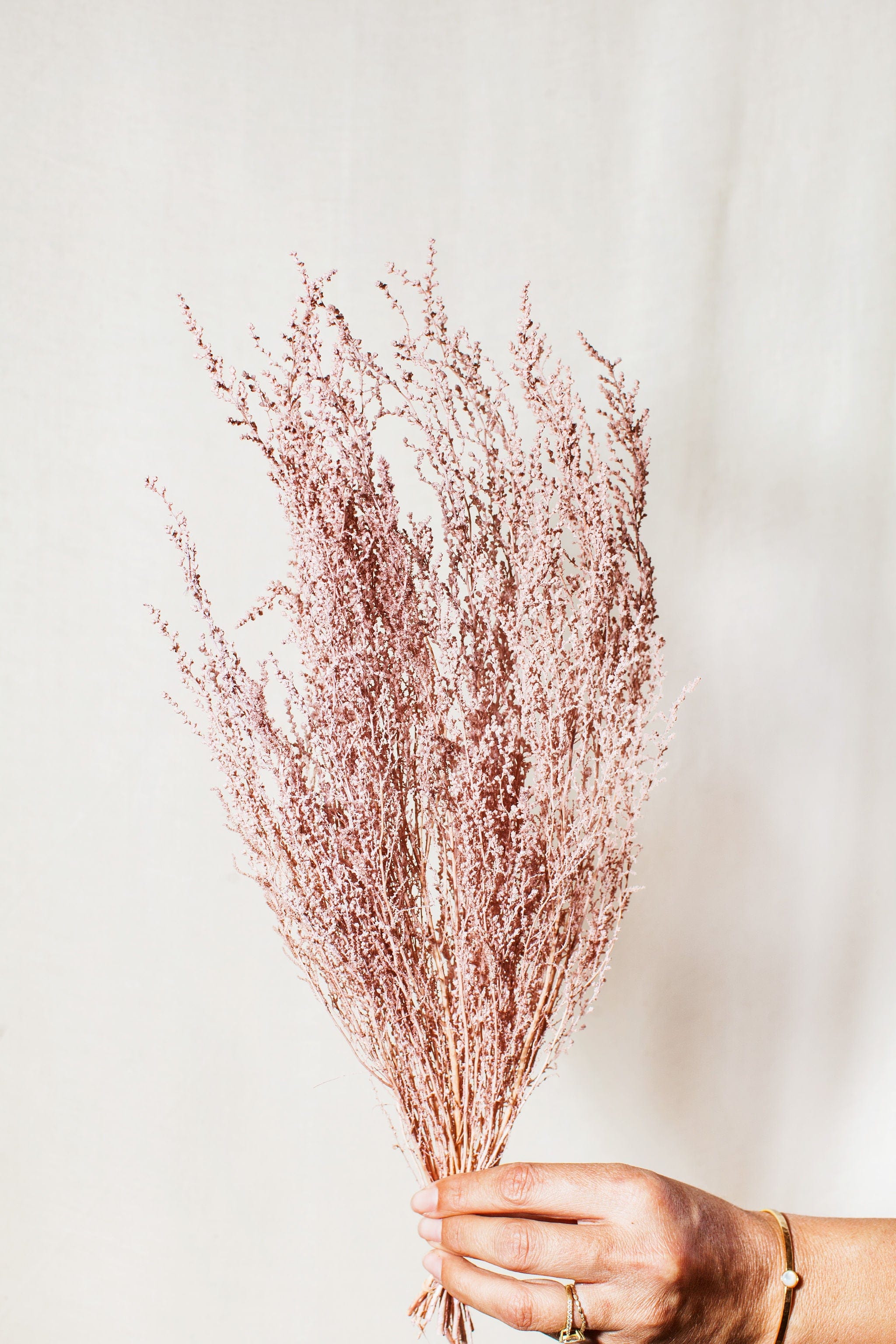 Dried and Preserved Flower Bunches