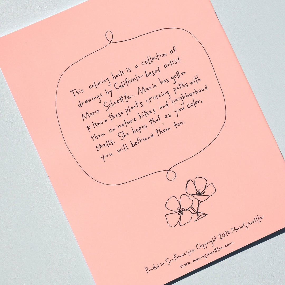 Buds Along the Path Coloring Book send a bouquet- the best flower delivery