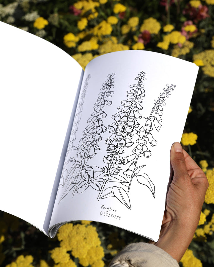 Buds Along the Path Coloring Book send a bouquet- the best flower delivery