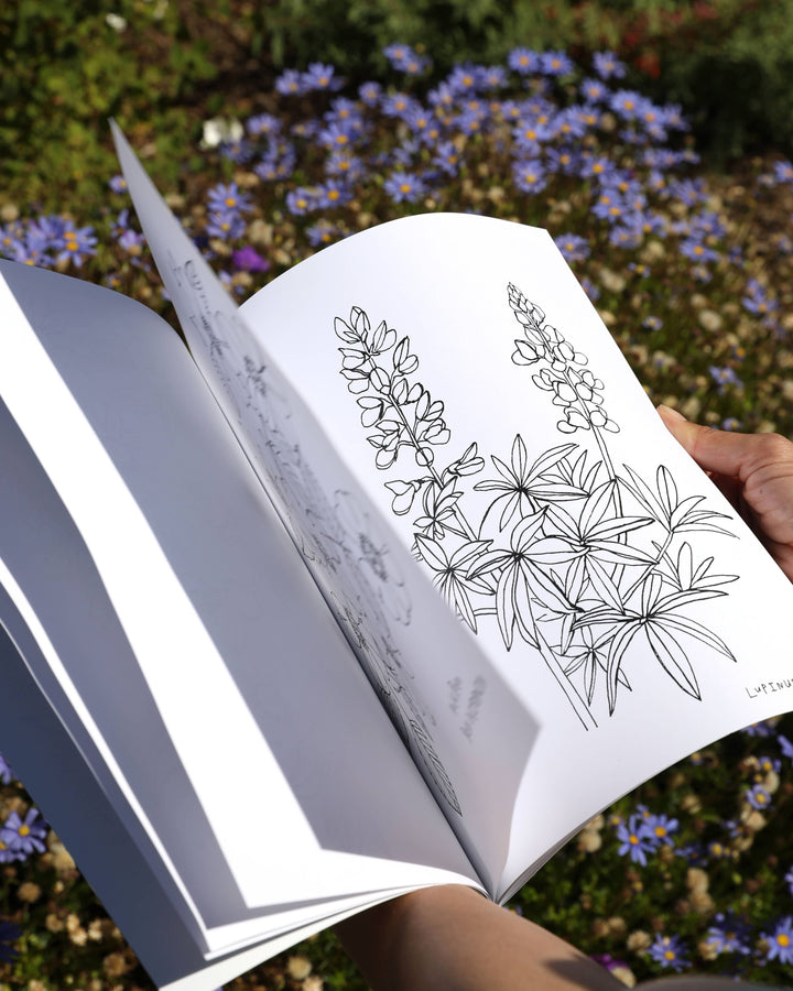 Buds Along the Path Coloring Book send a bouquet- the best flower delivery