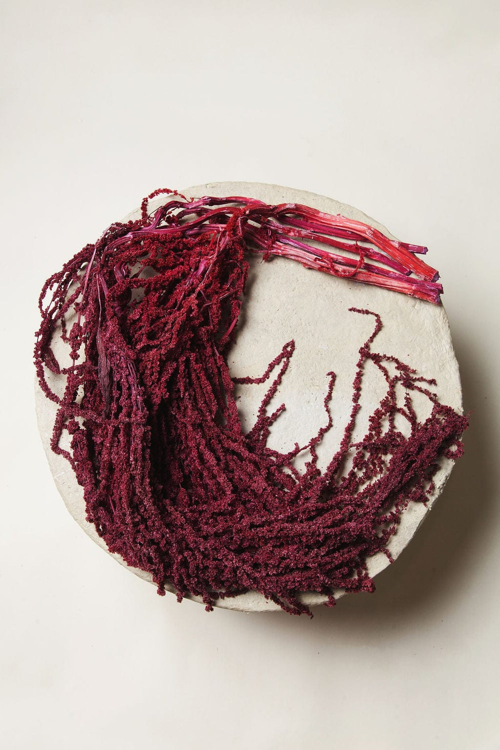 Bunches Burgundy Hanging Amaranthus send a bouquet- the best flower delivery
