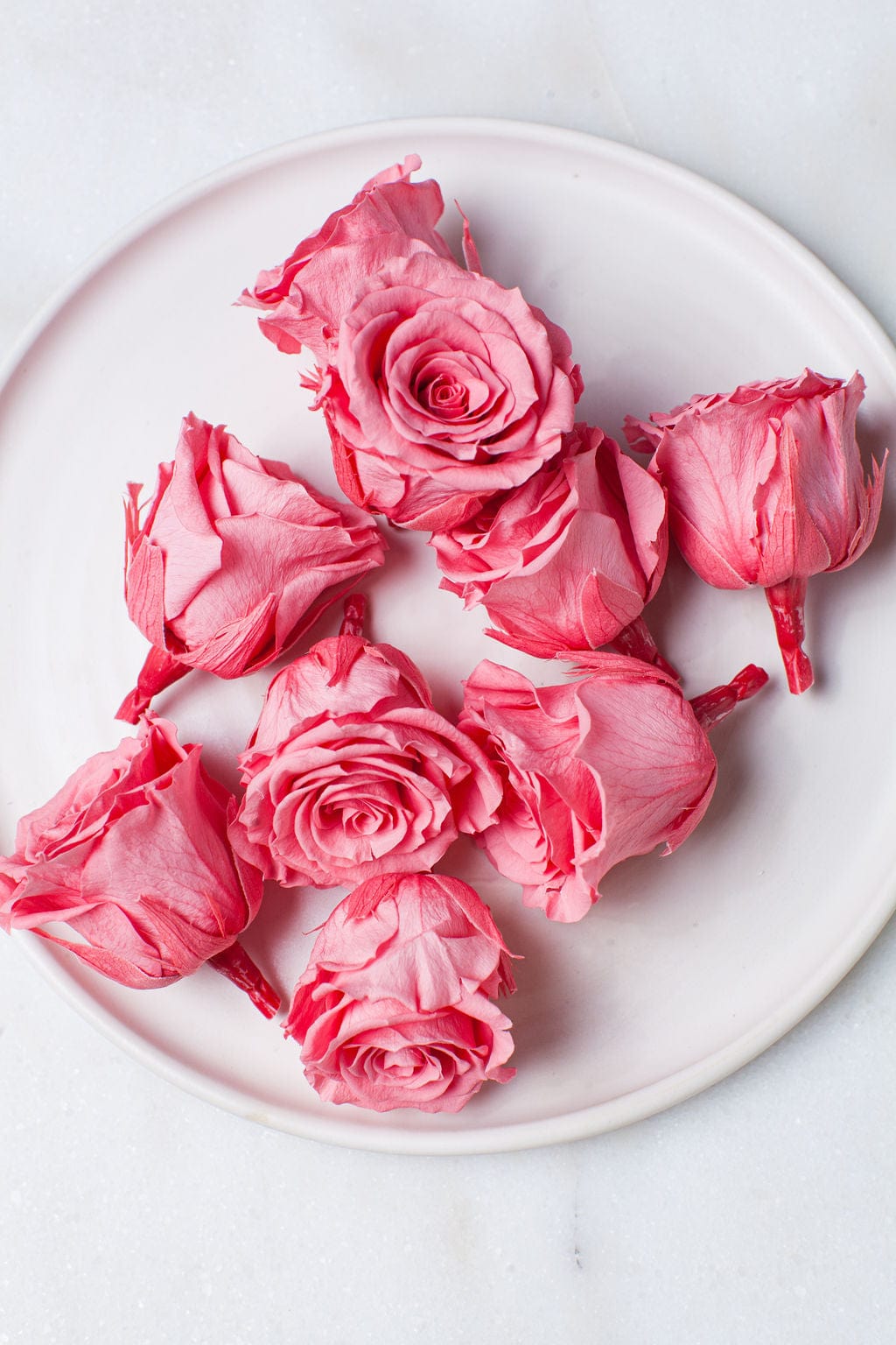 Bunches Candy Pink Preserved Roses send a bouquet- the best flower delivery