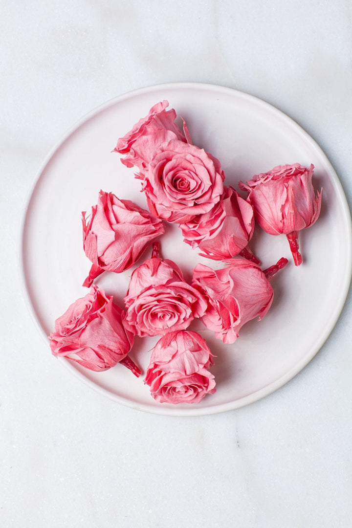 Bunches Candy Pink Preserved Roses send a bouquet- the best flower delivery