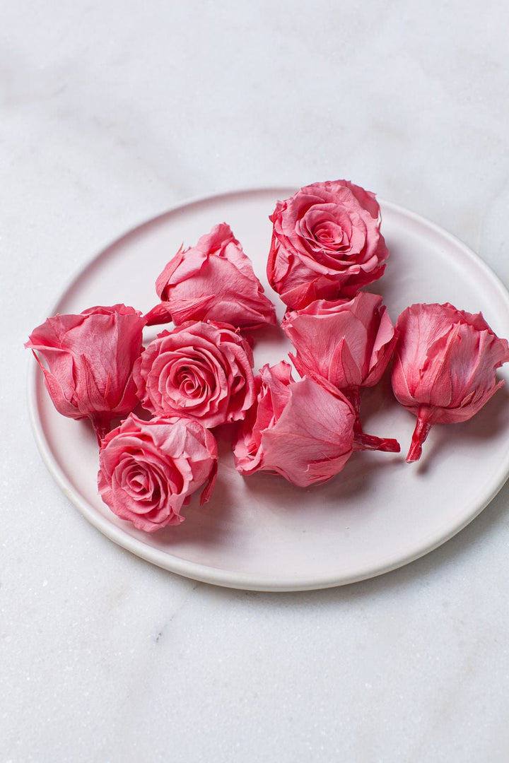 Bunches Candy Pink Preserved Roses send a bouquet- the best flower delivery