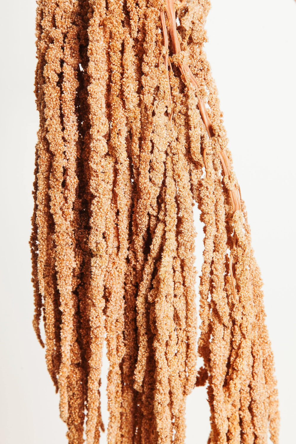 Bunches Caramel Hanging Amaranthus send a bouquet- the best flower delivery