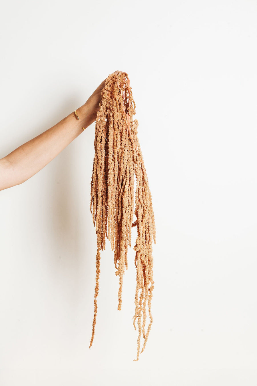 Bunches Caramel Hanging Amaranthus send a bouquet- the best flower delivery