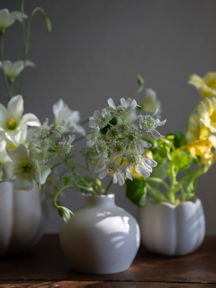 Ceramic Blossom Vase, Matte White: Short send a bouquet- the best flower delivery