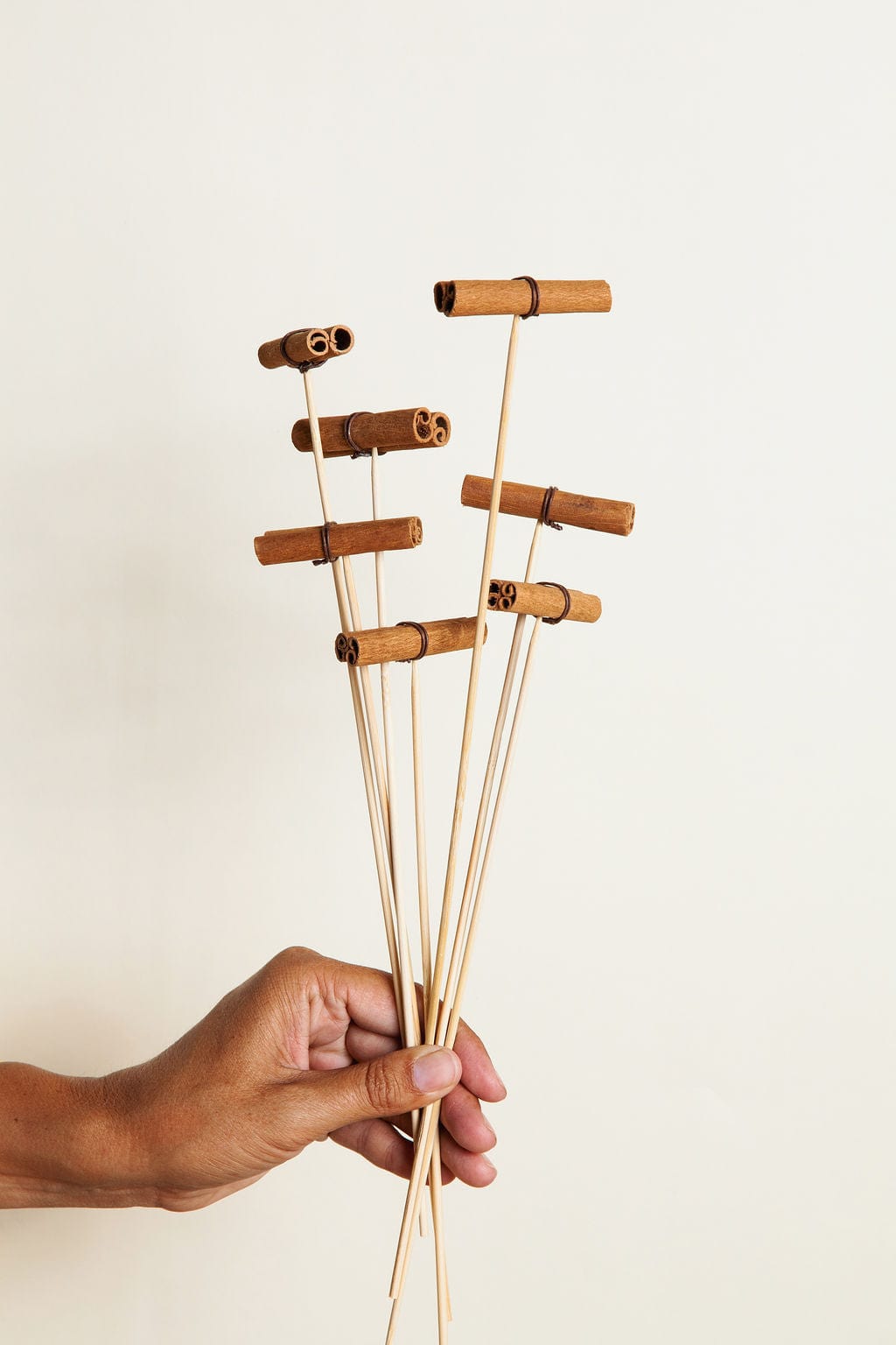 Bunches Cinnamon Picks send a bouquet- the best flower delivery