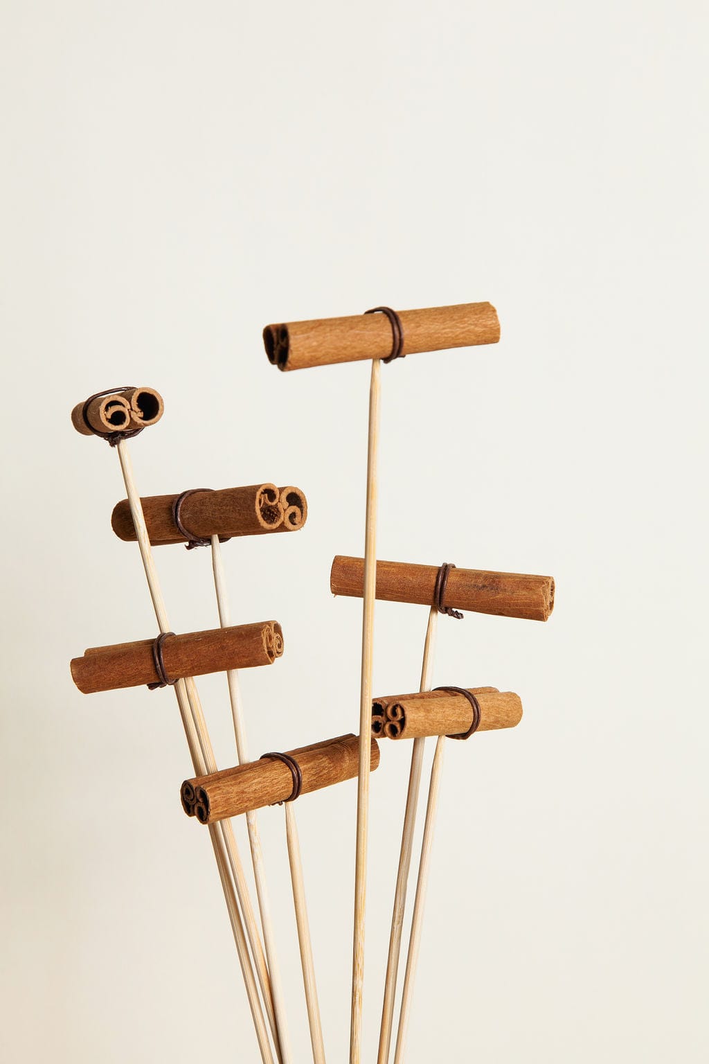 Bunches Cinnamon Picks send a bouquet- the best flower delivery